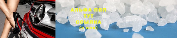 амф Верхний Тагил