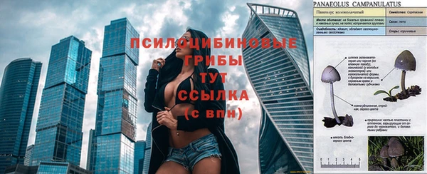 мяу мяу кристалл Верея
