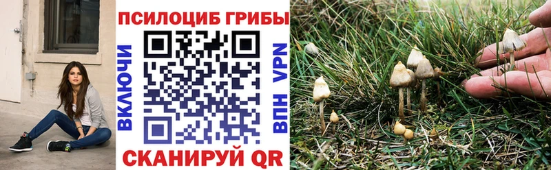 нарко площадка телеграм  кракен ONION  Калачинск  Псилоцибиновые грибы Magic Shrooms 