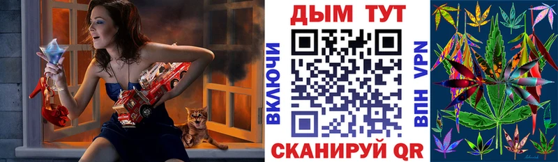 Бошки марихуана сатива  продажа наркотиков  Калачинск 